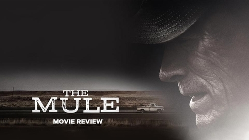 The Mule Film Review 960x540
