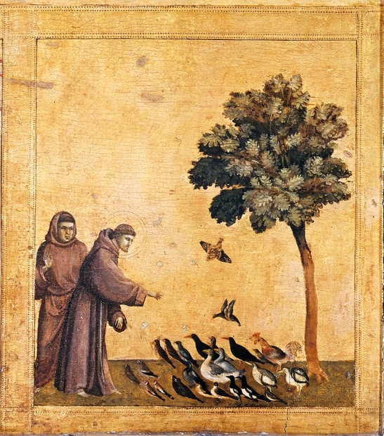 Giotto StFrancoisprechantauxoiseaux 1300env