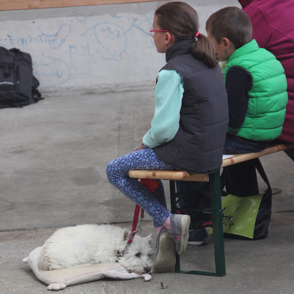 culte animaux2