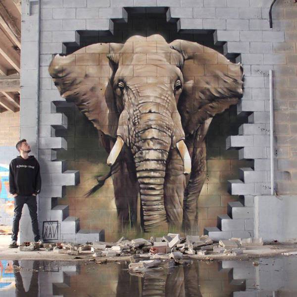 elephant mur