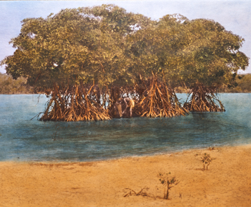 B Lagoon1