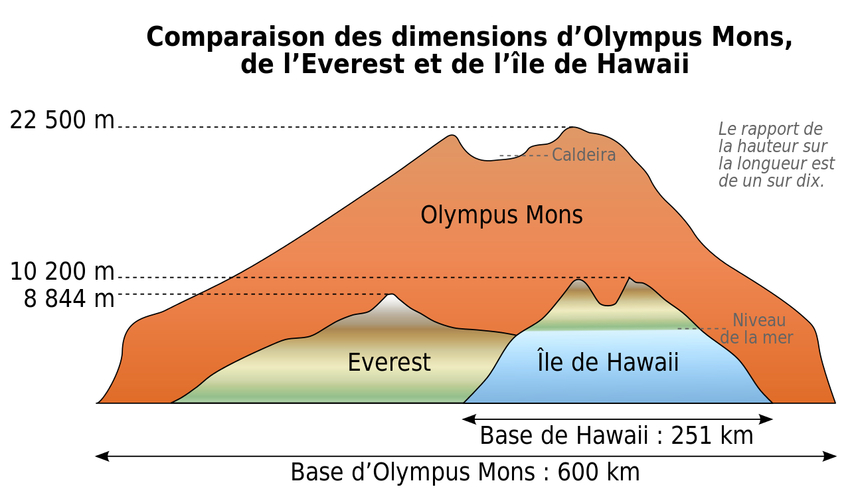 Comparaison entre le mont Olympe, la plus haute montagne du système solaire, et les plus hautes montagnes terrestres: le Mauna Kea et l'Everest. © Sémhur/Wikimedia Commons/Free Art License