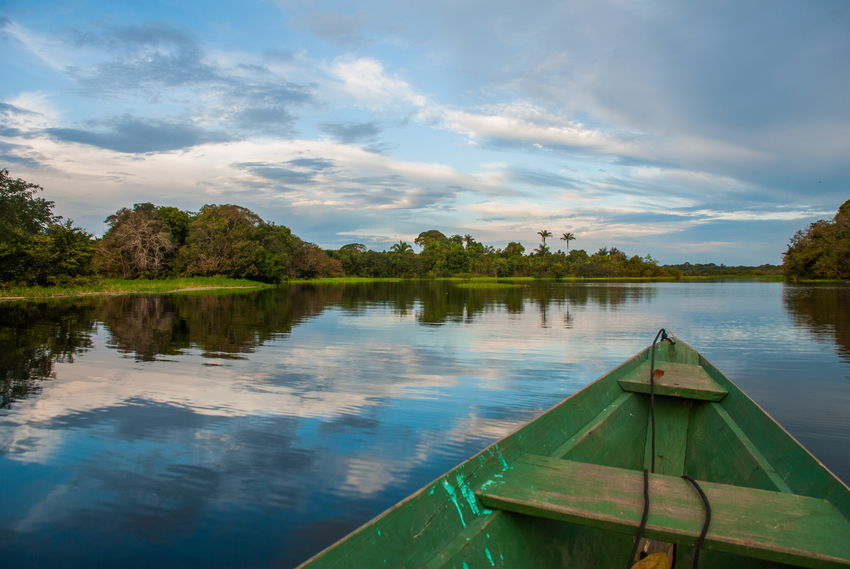 Amazonie Manaus AdobeStock