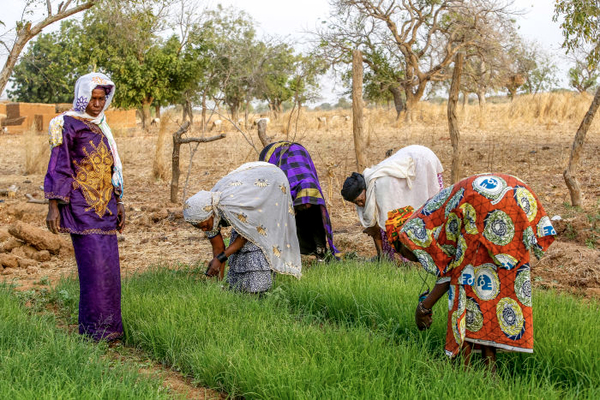 Burkina