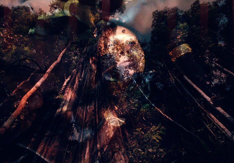 ForetAmazonienne reveYanomami ClaudiaAndujar