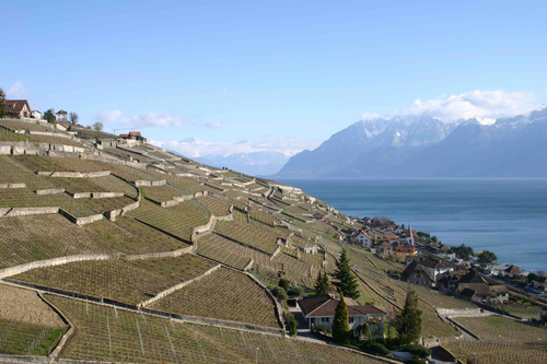 Lavaux2