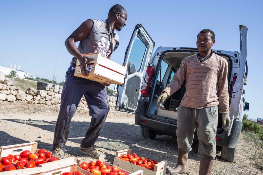 29 TomatesMoro Pouilles Sini2020