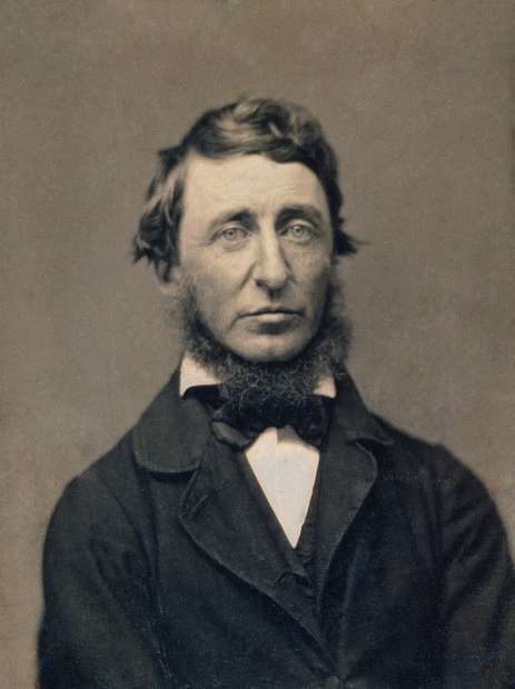 Benjamin D Maxham Henry David Thoreau NationalPortraitGallery